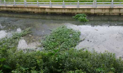 [廣東]河道清淤8寸立式泥漿泵，砂泵廠家直供